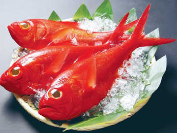 【千葉発】水揚げされる魚種の多さと量は全国屈指！県が誇る「千葉ブランド水産物」とは？