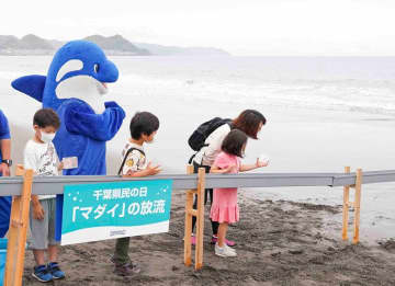 鴨川シーワールドで千葉県民割引　大人600円安く　マダイの放流体験も　6月「県民感謝月間」