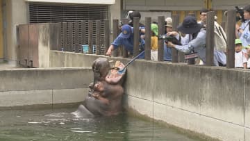 6月4日は虫歯予防デー！とべ動物園でカバの歯磨きに挑戦 園児たちが歯の大切さ学ぶ