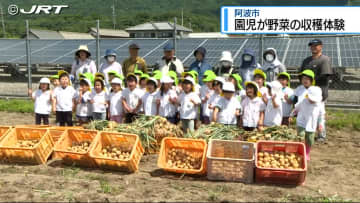カレーライスにして美味しく味わおう　子ども園の園児が近くの畑で玉ねぎやジャガイモの収穫体験【徳島】