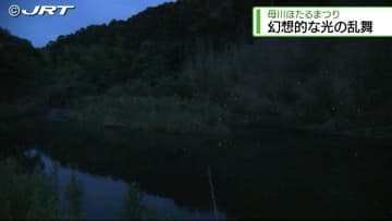 高瀬舟の上から幻想的なホタルの乱舞に酔いしれる　県内屈指のホタルの名所・海陽町の母川【徳島】