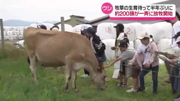 晴天の県内　牧場では恒例のウシの放牧　子どもたちも見守る　秋田県にかほ市