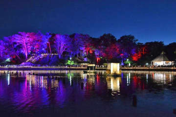 きょうも開催　千葉公園で夜のアートフェス「ヨハス」　オオガハス開花に合わせライトアップ　