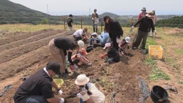 親子でいも掘り体験　　　三重・熊野市