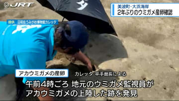 ウミガメの聖地 美波町の大浜海岸で2年ぶりにウミガメの上陸と産卵を確認　産卵は県内全域でも2年ぶり【徳島】