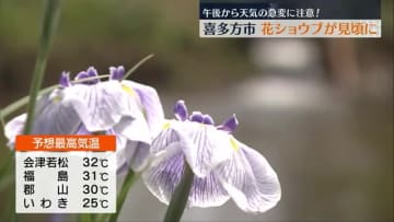 【喜多方市の御殿場公園で花ショウブ見ごろに】真夏並みの暑さと天気の急変に注意・福島県