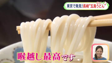 極太麺と極細麺あなたはどっち？東京で食べられるご当地うどん群馬＆長崎編！