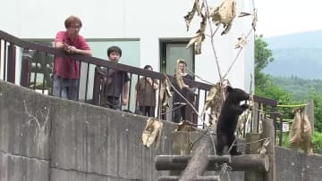 子グマとのふれあいに多くの家族連れ　くまくま園