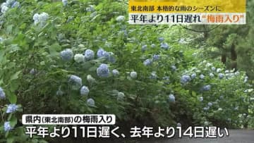 【東北地方が梅雨入り】福島県を含む東北南部は2023年より14日遅い梅雨入りに