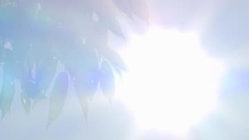 【2024年夏の暑さを物語る？】福島市の6月の真夏日が 14日と130年前と並ぶ1位タイ記録に！