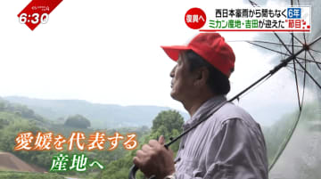 「諦めない強さは、いつだってみかんが教えてくれた」西日本豪雨からまもなく6年…生産者を通して見る町の現在地