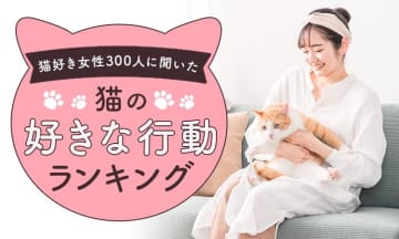 猫好き女性が選ぶ「猫の好きな行動ランキング」1位は思わず"きゅん"とする、あの行動...。