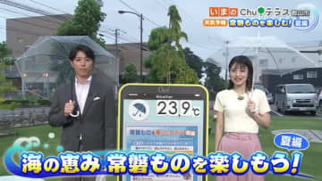 夏においしい“常磐もの”　別名…デビルフィッシュ？　豆知識と共に海の恵みを召し上がれ【福島県】