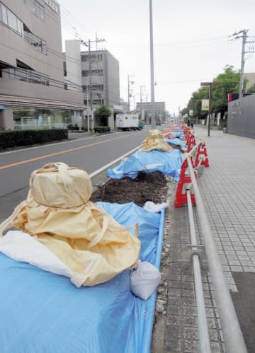 「景観100選」のケヤキ、現場判断で伐採　市長、市民に陳謝　今後は事前の情報共有徹底　市川