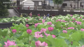 22日は大暑　秋田県内は午後から多くのところで真夏日の見込み