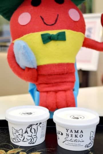 ジェラート食感のソフトクリーム！好評で第2弾　有名店とコラボ、限定販売　御宿町