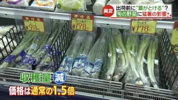 「収穫を前に葉が溶けてしまう」連日の猛暑で夏野菜に異変…トマトの収穫量は7割減