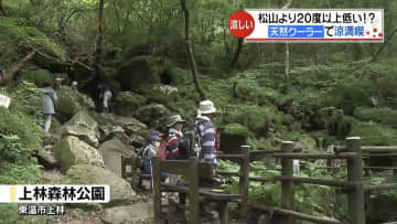 猛暑しのぐ涼スポット 東温市の「風穴」へ！自然が生み出す天然クーラーでひんやり