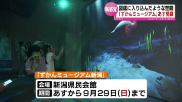 「ずかんミュージアム新潟」27日開幕　図鑑の世界に入り込んだような新感覚 《新潟》