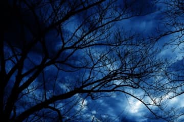 幽霊？病院で亡くなった隣人が「散歩をしていた」姿を目撃した女性　奥様に伝えると悲しい一言が…