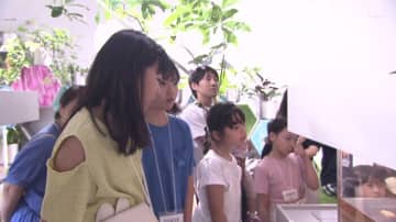 夏休み！生き物について学ぼう！札幌で人気のイベント