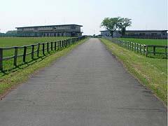 "宮内庁"の牧場が【無料】で見学できるチャンス！秋の見学会の申し込みがスタートしてるよ。