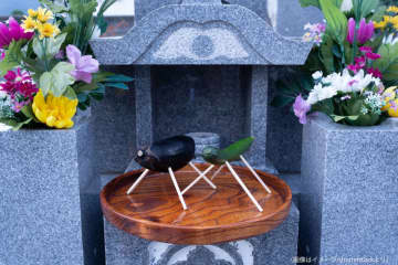 8月の墓参り、絶対1人で行ってはいけない　その理由が「どんな幽霊より怖い」と話題に…