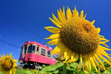 ローカル鉄道に乗って絶品グルメ満載の銚子で大人の修学旅行を楽しもう！魅力的な美味しいグルメをご紹介