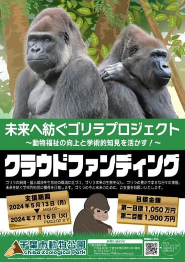 ゴリラCFに1600万円集まる　飼育環境改善に千葉市動物公園　第1目標クリア、展示場に植樹