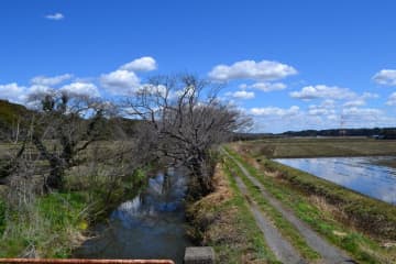 有害性指摘される「PFAS」指針の420倍検出　鎌ケ谷の水路、千葉県調査で