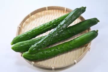 きゅうりは味がしない、ブツブツで不評、20～30代男女が「大人になっても苦手な野菜」【完全版】