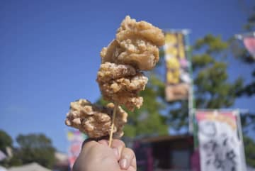 濃厚ソフトクリームにサクサク唐揚げ　君津の一大イベント「房総フェスタ」行ってみた