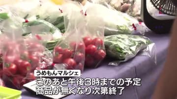 若手農家が育てた農産物求めにぎわう