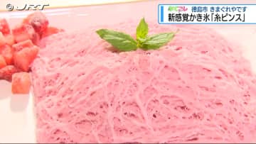 進化系ひんやりスイーツ　『みてコレ』きまぐれな店主のお店【徳島】