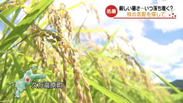 きょうは「処暑」厳しい残暑いつまで？愛媛県内で秋の気配を探して