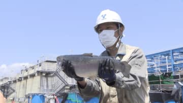 目標出荷量は60トン、大手ガス会社がサーモンを陸上養殖！電子機器メーカーはマスク、JR東日本は農業、太陽光発電会社はベーカリー...増加する企業の異業種参入