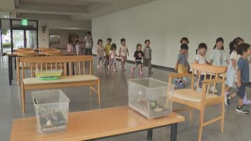 「リーンリーン」と一足早い秋の訪れ　約300匹のスズムシ涼しげな音色響かせる　三重・紀北町