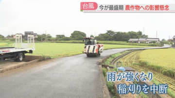 【台風10号】漁業・農業への影響を懸念　3日間漁に出られず　早めの稲刈りは雨で中断　大雨と暴風に警戒　福岡