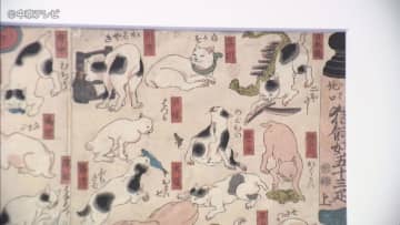 気まぐれなネコ、甘えん坊なネコなど　ネコの浮世絵125点が展示　特別展「ごろごろまるまるネコづくし」  愛知・安城市