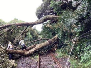 【速報】JR総武本線が運転見合わせ　倒木で運転再開見込み立たず　旭－松岸間で