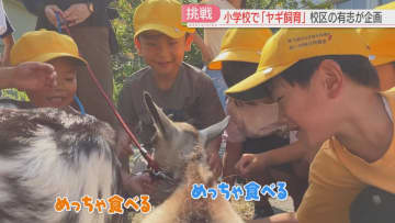 【なぜ】小学校にヤギが来た！生き物を飼うのは7年ぶり　県内での飼育はメダカ・金魚が主流　福岡