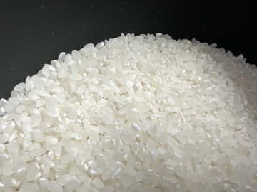 米の確保困難で中止　八千代カレーフェス　高温での食中毒も懸念「安全担保できず」