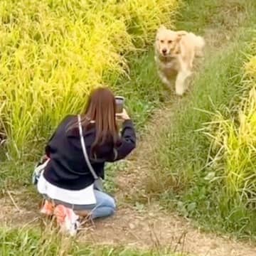 『映画のワンシーン…？』大型犬が家族と再会した結果…コントすぎる『まさかの結末』に爆笑「スルー...