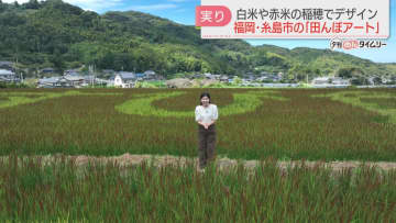 【お披露目】待ち遠しかった新米の季節　恒例の田んぼアートが登場　ことしのメッセージは　福岡