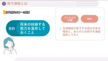卵子凍結 最大20万円を補助 18～39歳が対象 申請受け付け始まる 山梨
