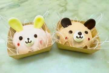 応募総数837点！子どもが考えた“夢のケーキ”が商品化！　ピレーネ”手作りセット”に“ここにこ村”の動物たちなどユニークな発想が盛りだくさん「夢は叶うことを感じてほしい」　愛知・豊橋市