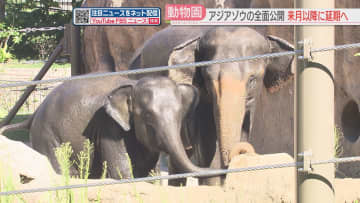 繊細なゾウと飼育員が信頼関係を構築する必要　アジアゾウの全面公開は11月以降に延期　福岡市動物園