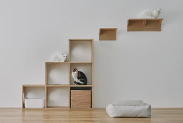 無印、猫の商品強化　おやつやシェルフ、フードボウル