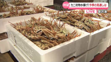 石川のカニようやく水揚げ　地震被害の輪島港でも10か月ぶりの本格操業