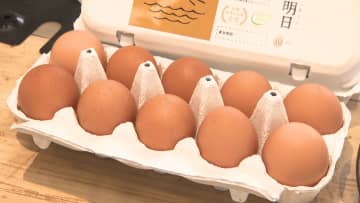 卵の卸売価格が再び上昇、地球温暖化によるニワトリの“夏バテ”が影響か…養鶏場「卵のサイズも小さくなっている」